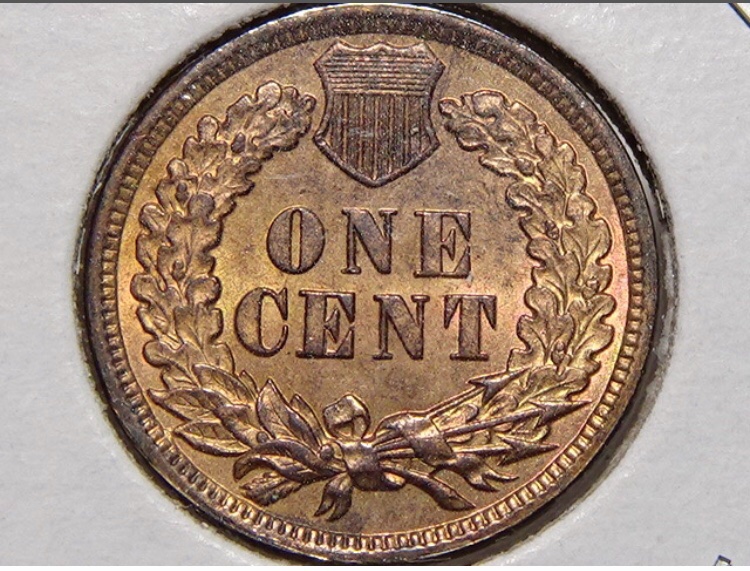1882-Indian-Head-Penny-Grade