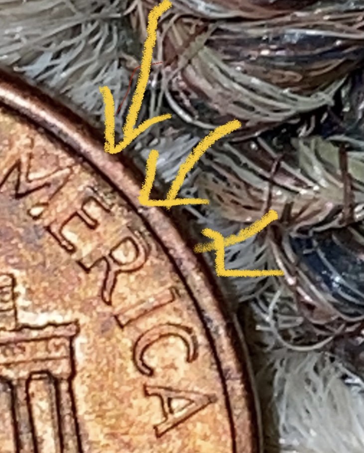 1987-D-Lincoln-Cent-DDO-/-DDR-And-2-I's-In-Liberty