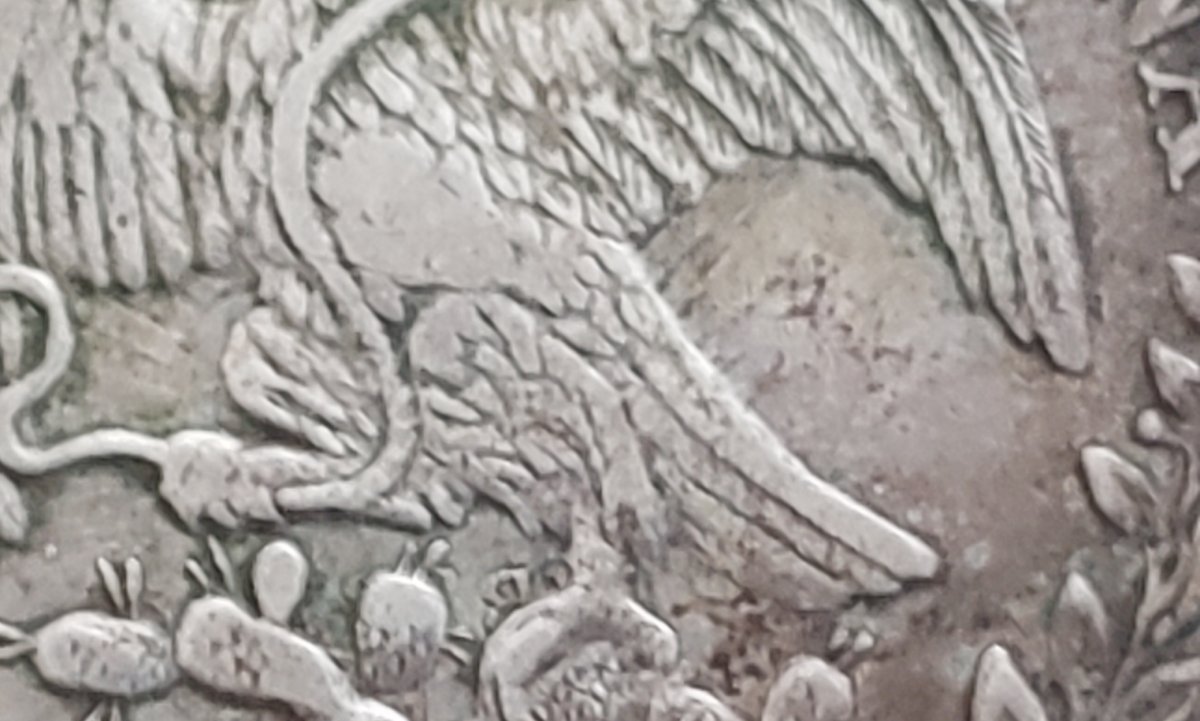 1834-Go-Pj-8-Reales-CCC?