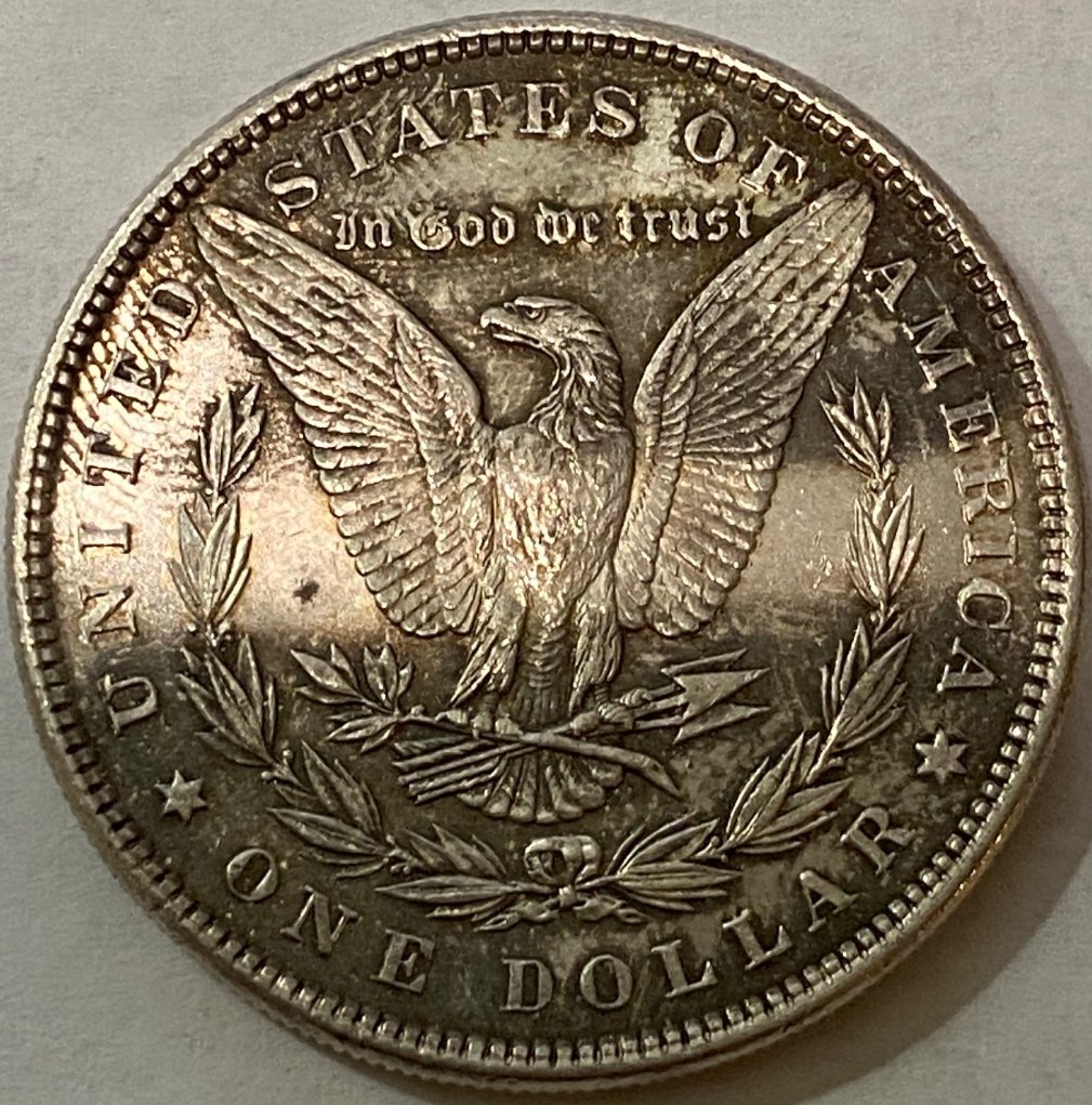 Thoughts-On-1885-Morgan-With-Stripe-On-Reverse