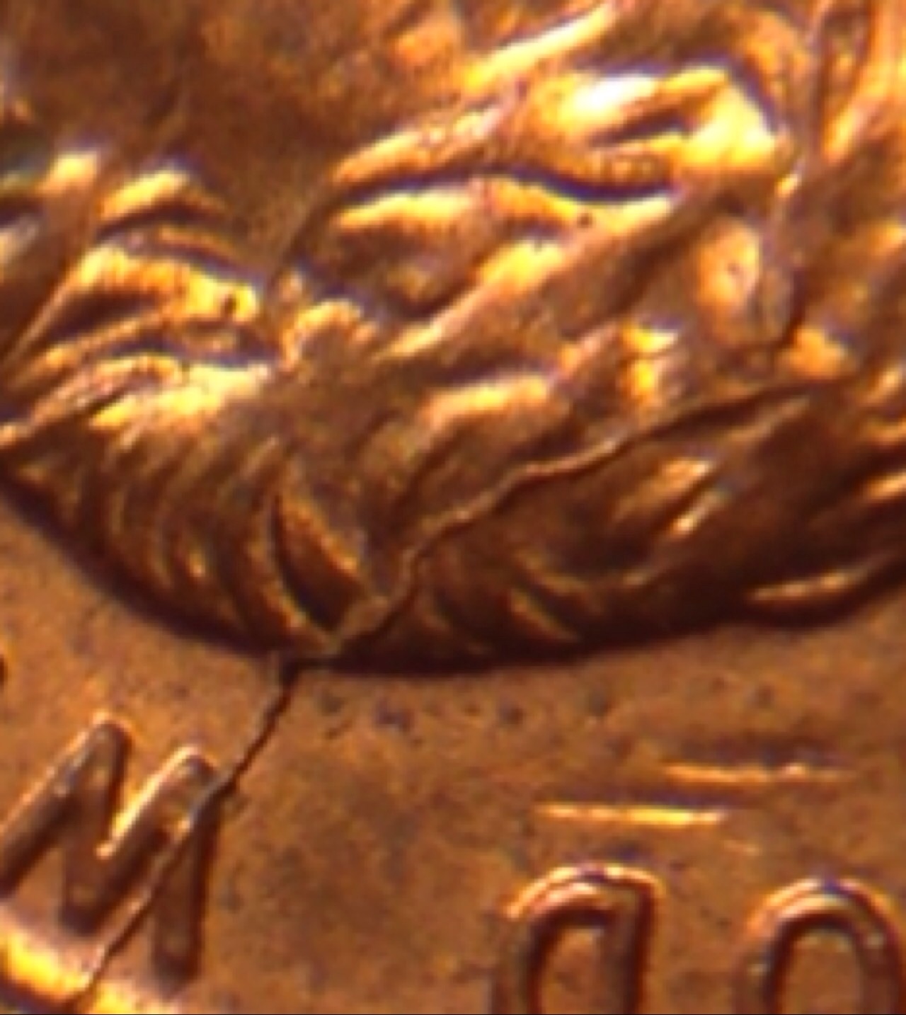 Curious-As-To-What-I'm-Seeing-With-This-1994-Penny