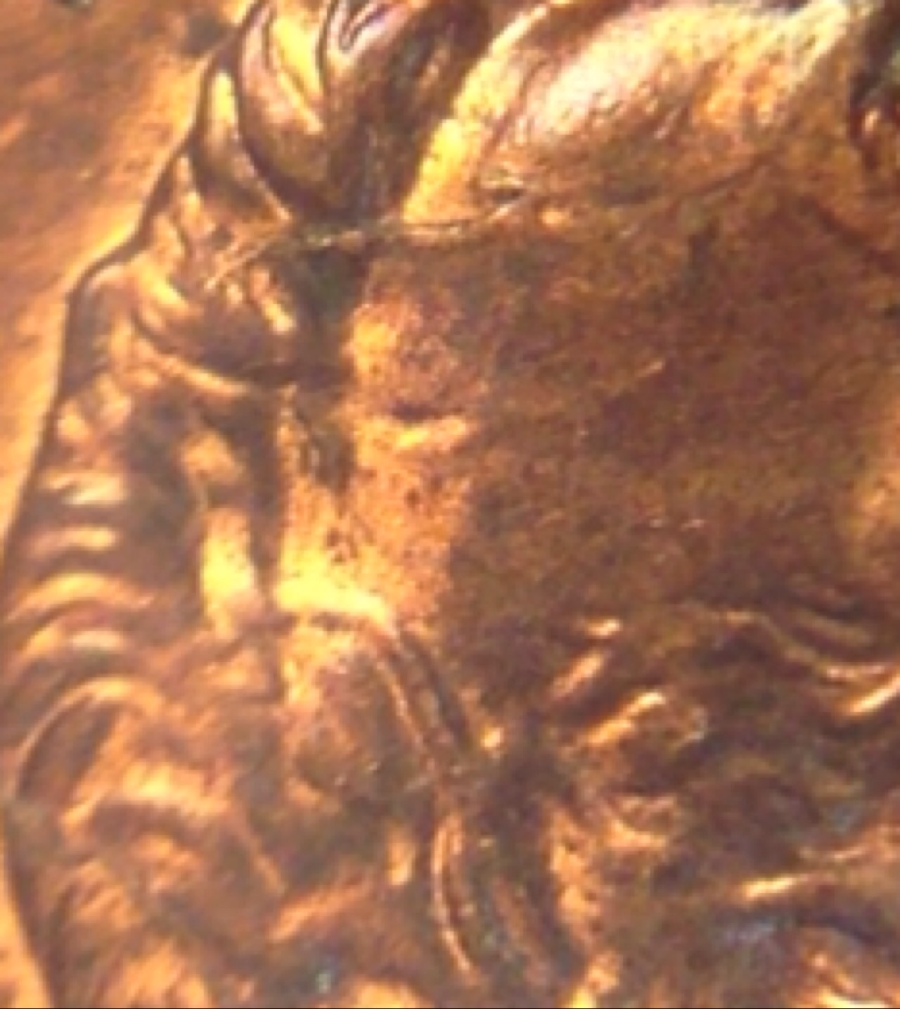 Curious-As-To-What-I'm-Seeing-With-This-1994-Penny