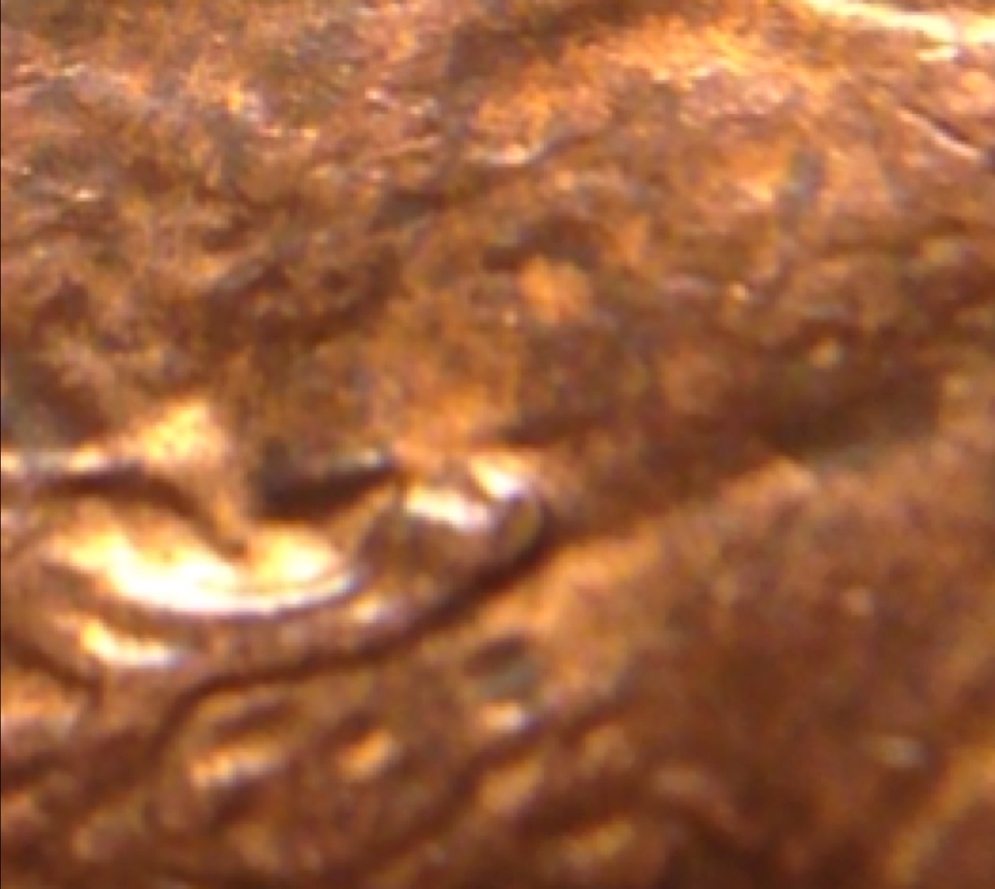 Is-This-A-Possible-1984-Double-Ear?