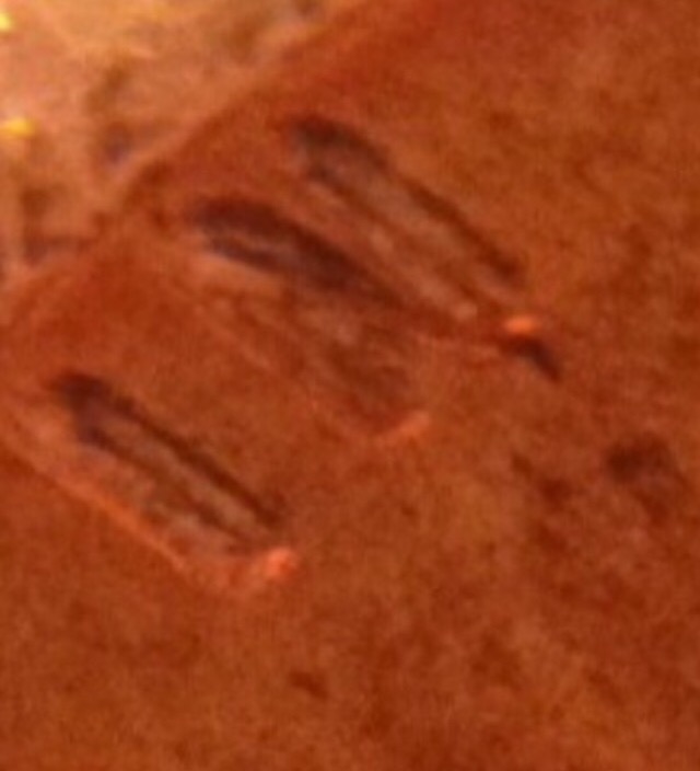 Possibly-A-1959-D-Doubled-Die-Penny?