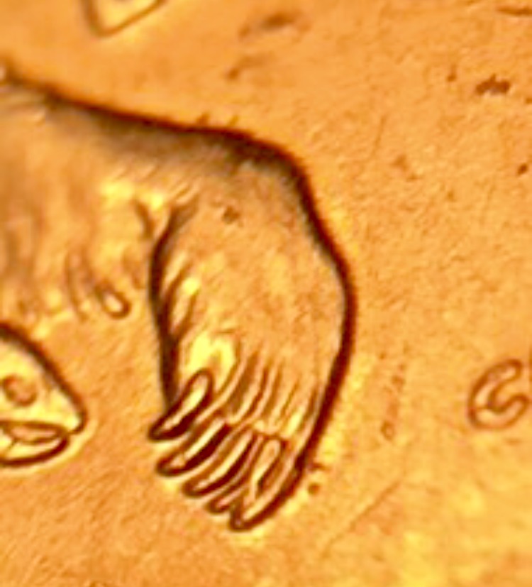 Hoping-For-Some-Help-With-This-2008-Quarter