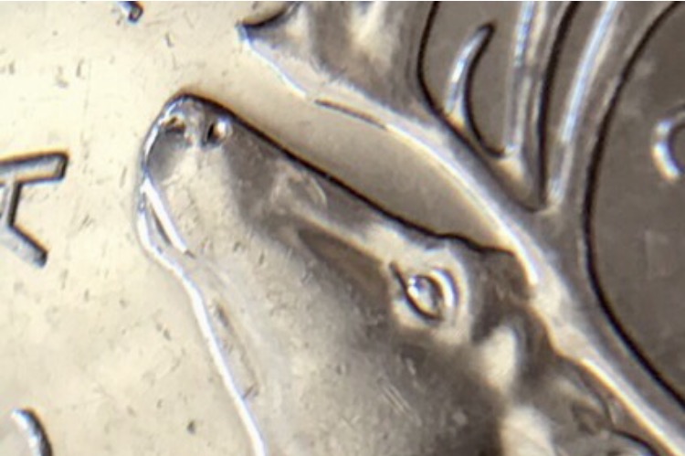 I-Have-This-Beautiful-25-Cent-Canadian-Proof-I-Believe