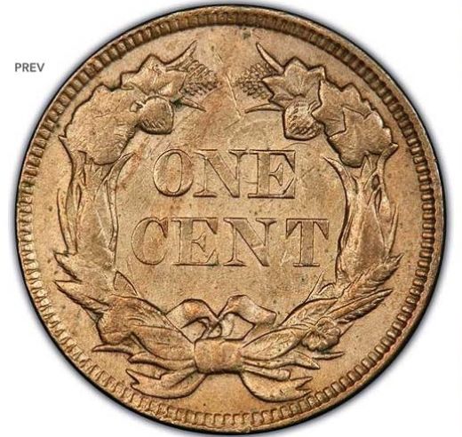 PCGS-Photograde-Shows-1857-Flying-Eagle-Clash