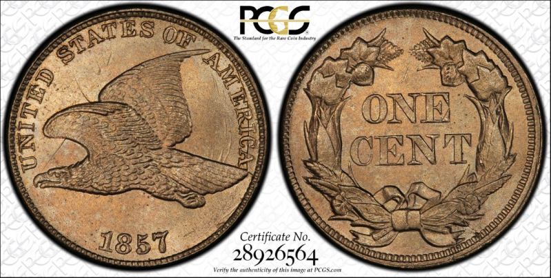Best-Of-Trueview-US-Coins