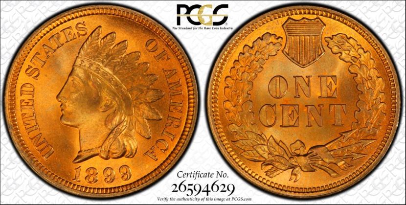 Best-Of-Trueview-US-Coins
