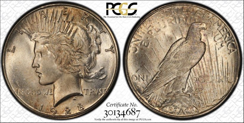 Best-Of-Trueview-US-Coins