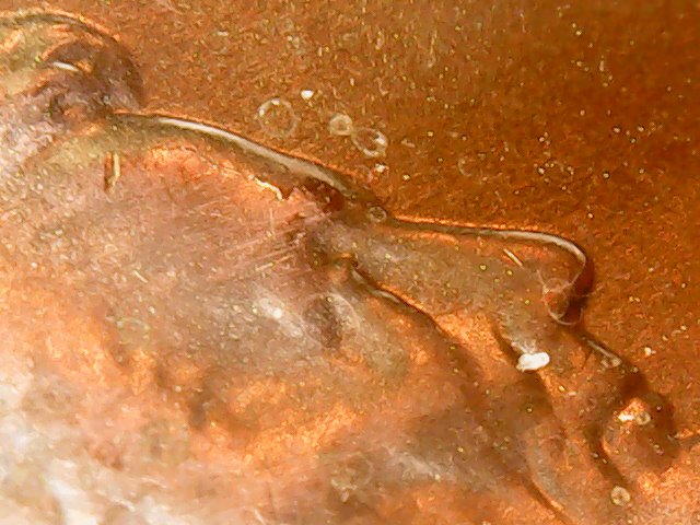 2021-LSC-Is-This-A-Die-Crack?