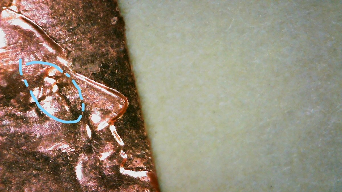 2014-Shield-Penny-Multiple-DD-Cud?-Over-Eye,-Ear,-Profile,-Bow-Tie