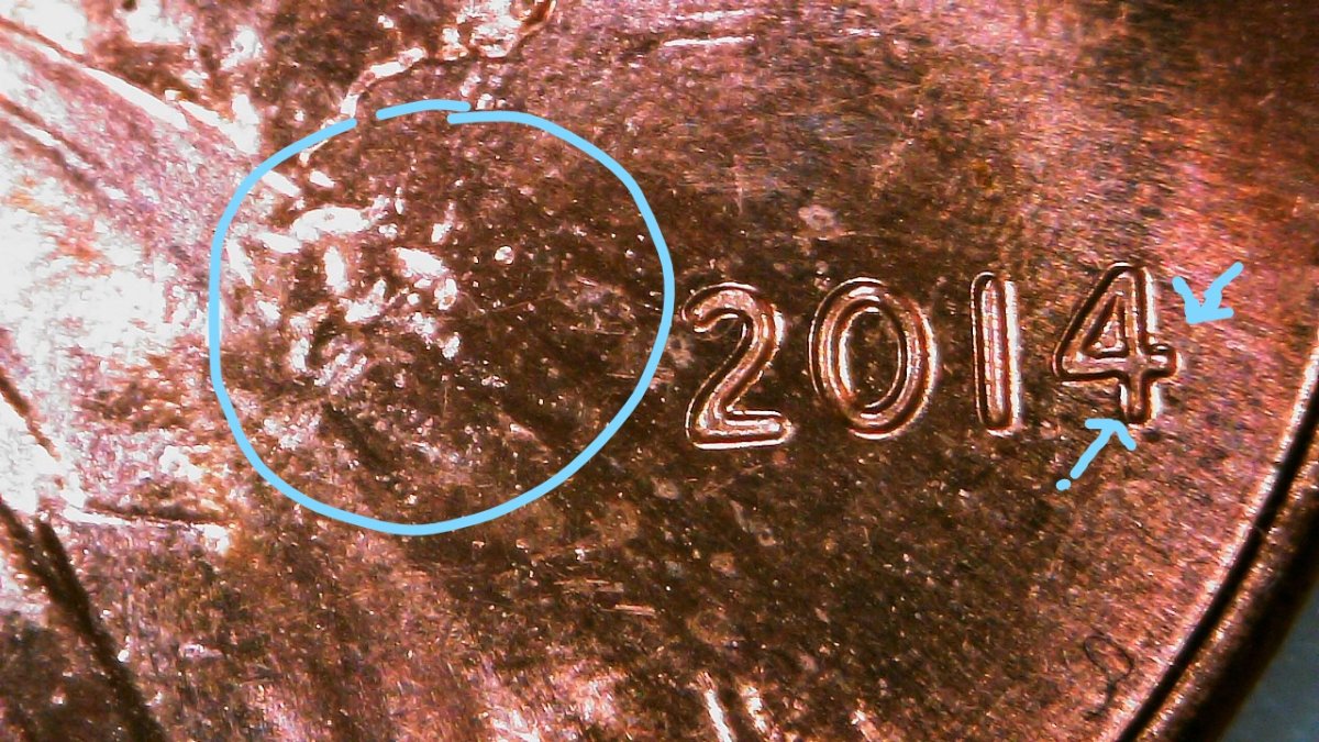 2014-Shield-Penny-Multiple-DD-Cud?-Over-Eye,-Ear,-Profile,-Bow-Tie