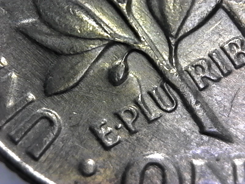 Dime-Time-For-Meow,-Odd-Shapes-In-Roosevelt.