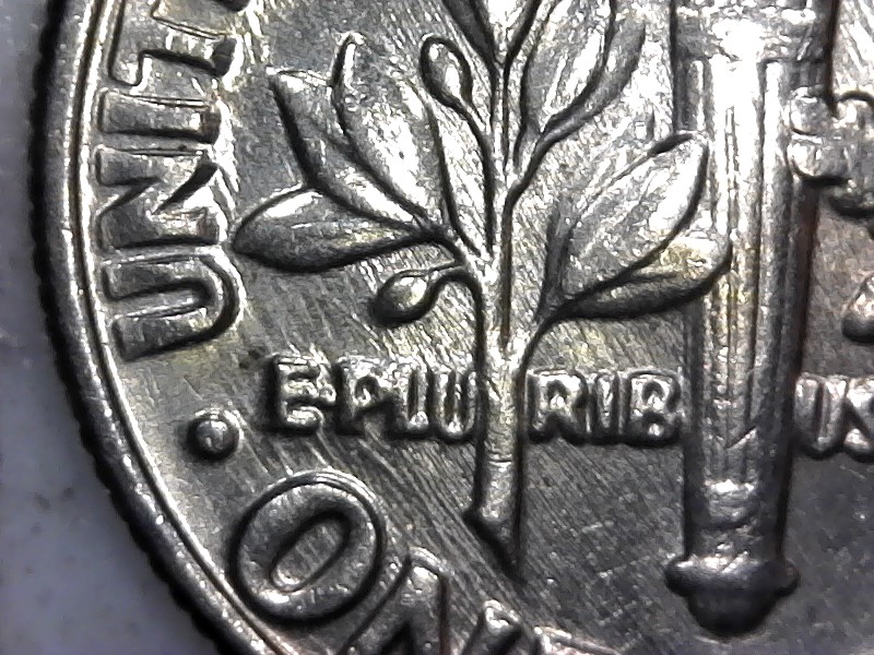 Dime-Time-For-Meow,-Odd-Shapes-In-Roosevelt.