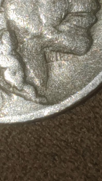 1929-S-Buffalo-Nickel-Random-Find