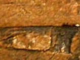 1959-D-Penny-Reverse-Error?