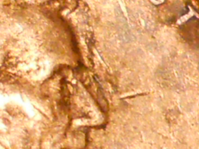 1969-DDO-Or-Error?