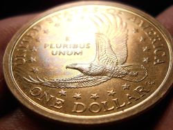 2000-P-Dollar-Question?
