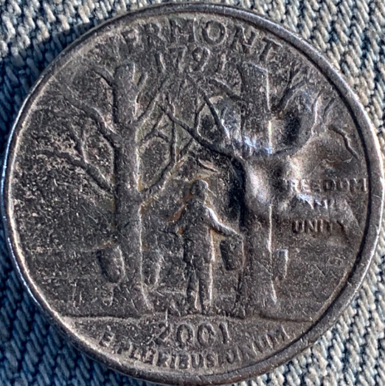 2001P-Vermont-Quarter-Someone-Please-Help-Identify-Marking-On-Reverse