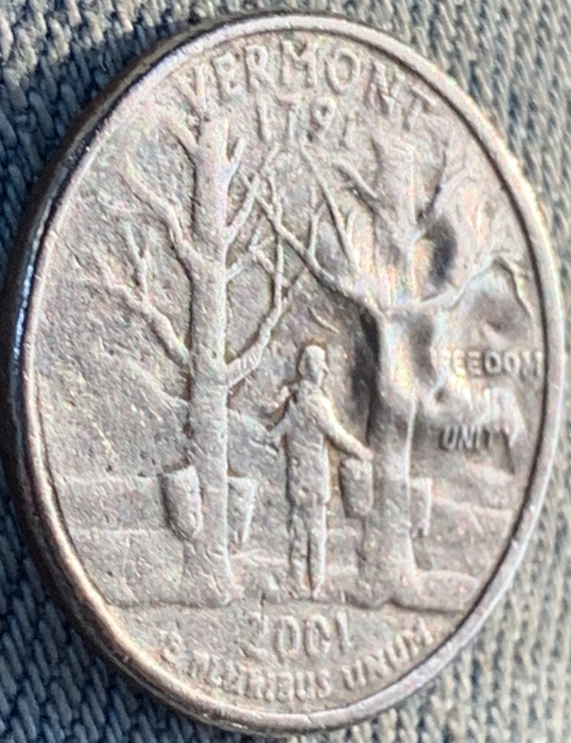 2001P-Vermont-Quarter-Someone-Please-Help-Identify-Marking-On-Reverse