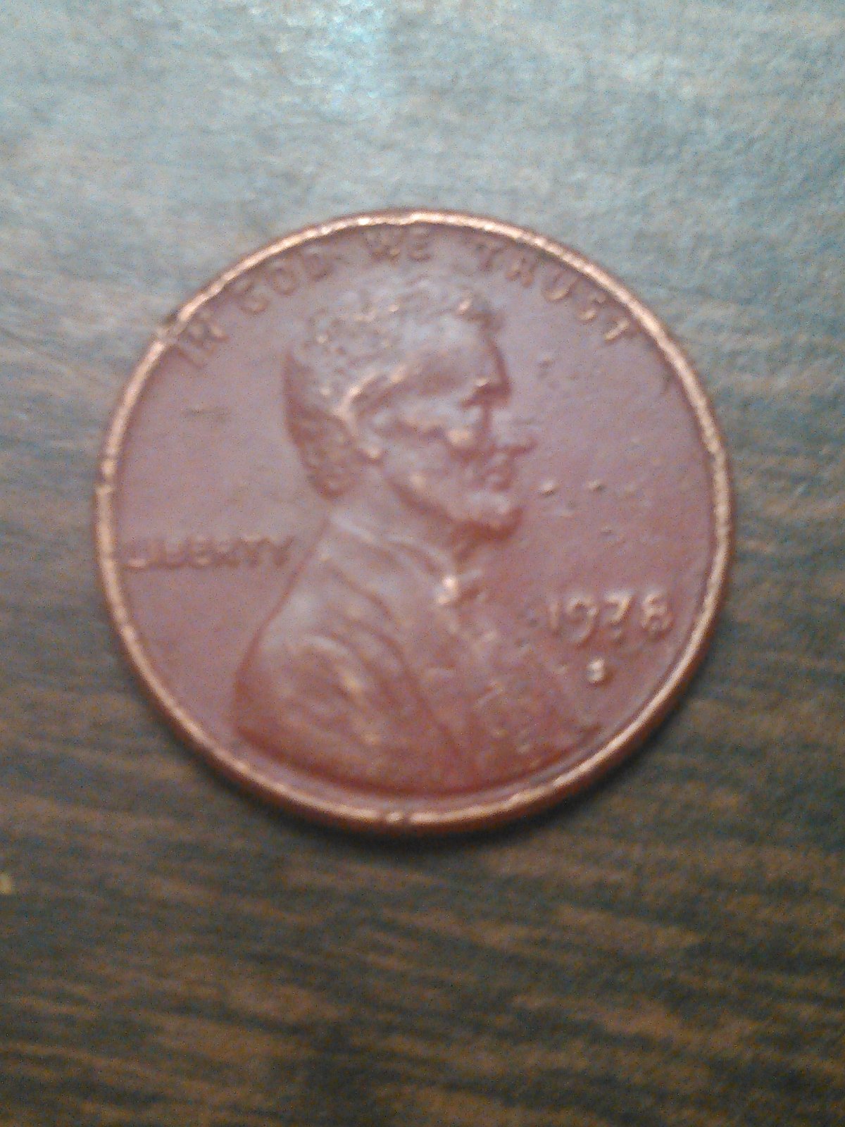 I-Found-This-In-My-Backyard.-The-