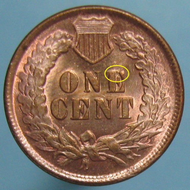 My-Lovely-New-1889-Indian-Head-Cent