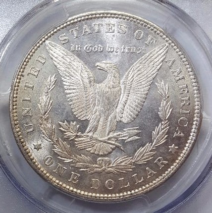 1891-P-Morgan-Dollar---You-Vs.-PCGS