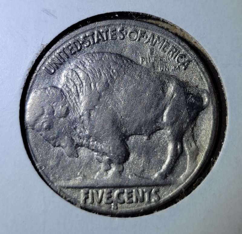 1919-S-Buffalo-Nickel-Recent-Acquisition---Return-Or-Not?