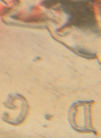 2001-Canadian-Nickel-Error