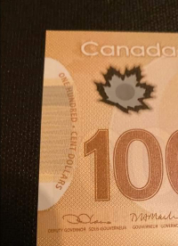 Signature-Identification--$100-Polymer