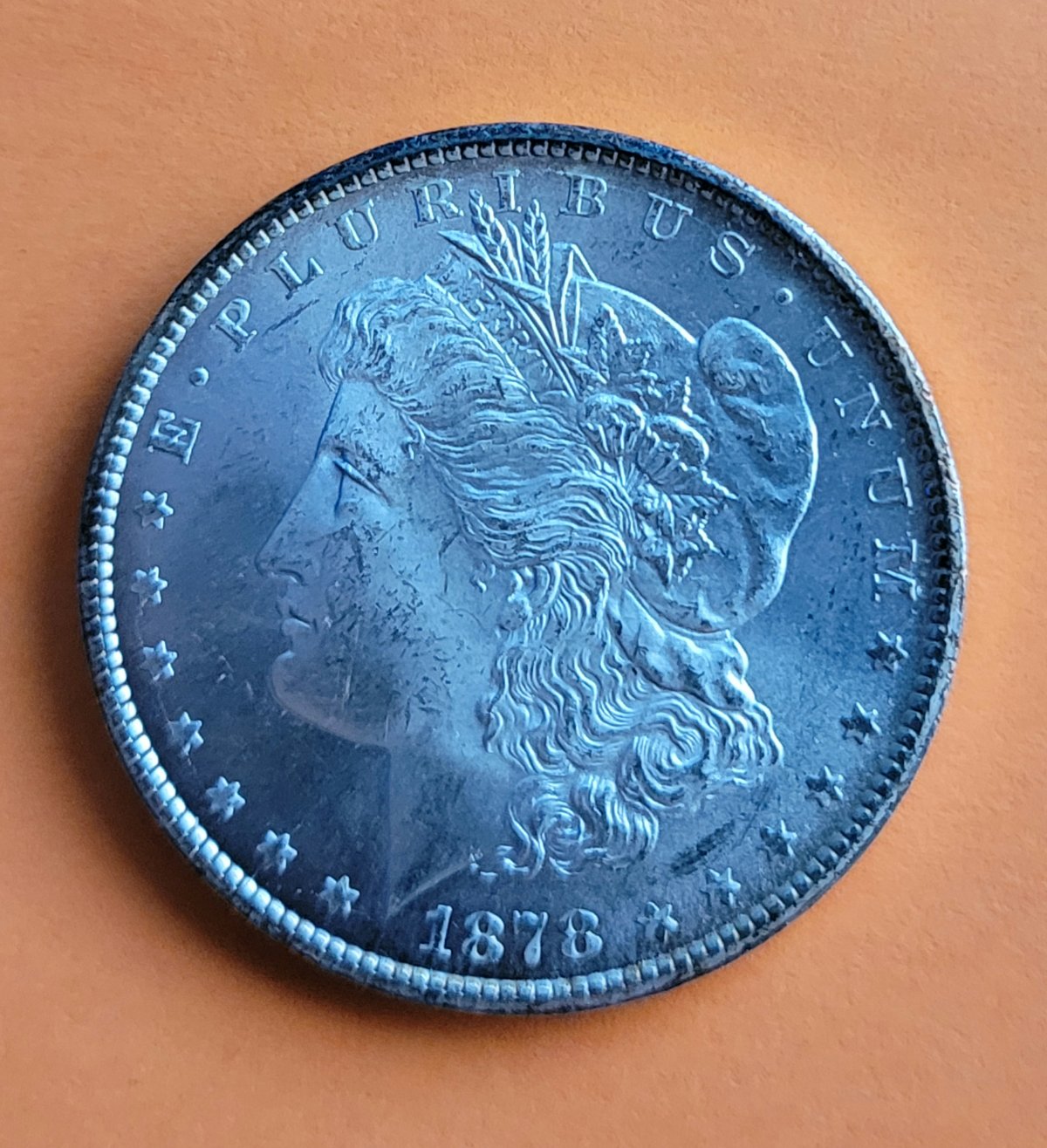 My-First-Morgan-CC--: