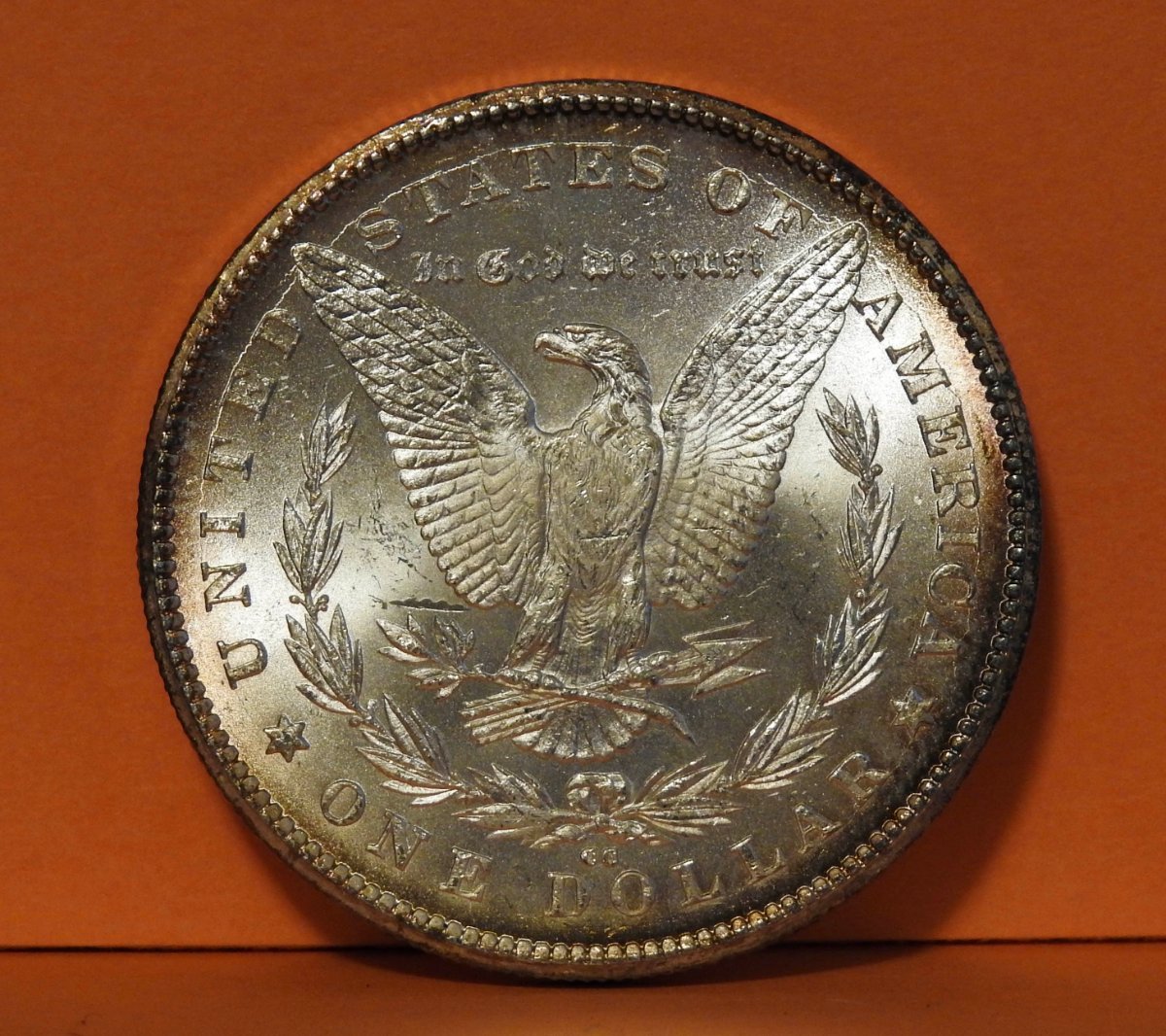 My-First-Morgan-CC--: