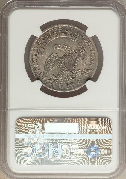 Dipped-Or-Original-Skin?-1833-Capped-Bust