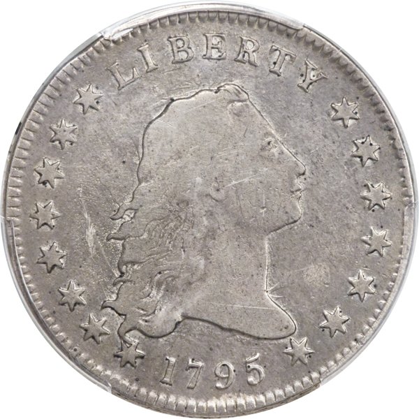 My-1795-Flowing-Hair-Dollar---Next-Step?