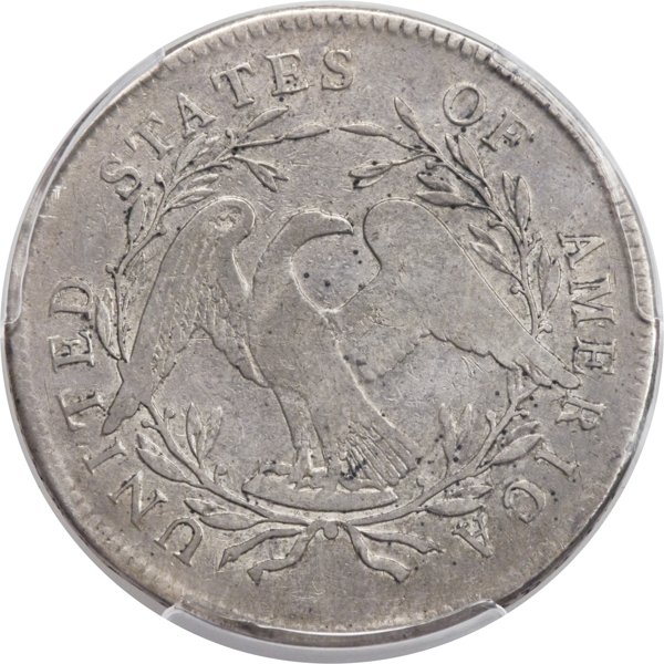 My-1795-Flowing-Hair-Dollar---Next-Step?