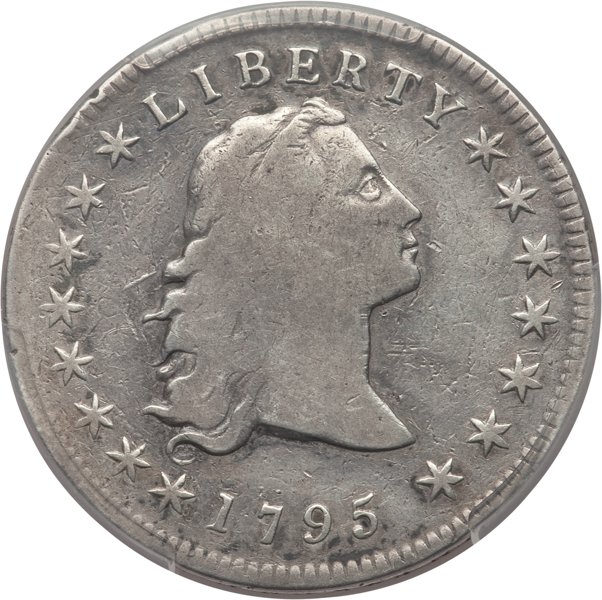 My-1795-Flowing-Hair-Dollar---Next-Step?