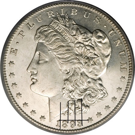 1893-CC-Morgan-Dollar:-Calling-Nss-52