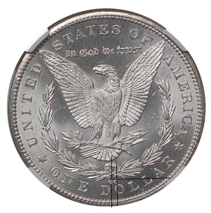 1893-CC-Morgan-Dollar:-Calling-Nss-52