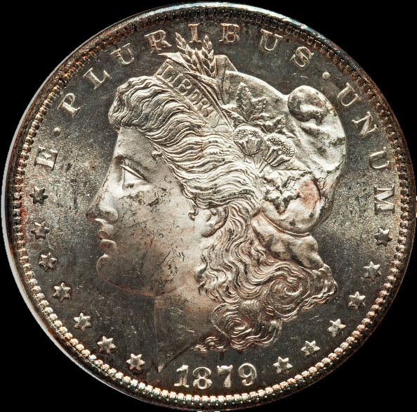 Does-This-Morgan-Look-Like-A-64-Or-A-65?