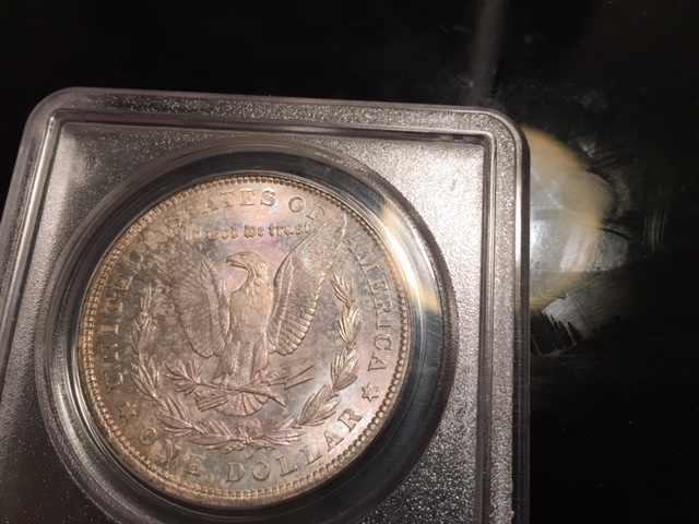 Offbeat-Queston-For-You-Morgan-Enthusiasts.
