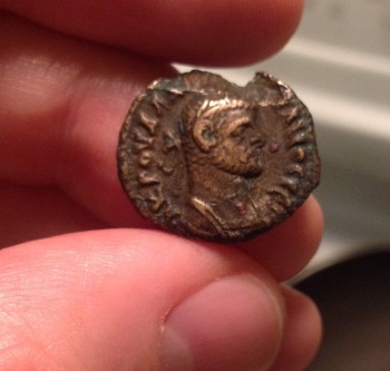 Please-Help-Identify