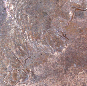 Is-This-1992-Penny-A-DD-Or-Is-It-MD?-Thanks-For-Help