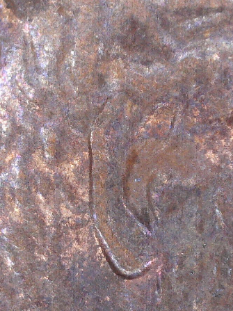 Is-This-1992-Penny-A-DD-Or-Is-It-MD?-Thanks-For-Help