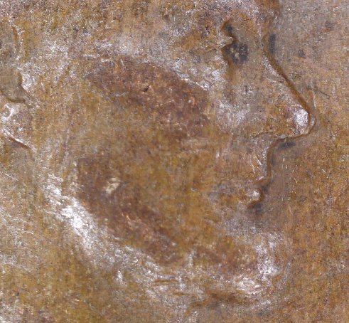 1933-Wheat-,-Is-Nose/Chin-DD?