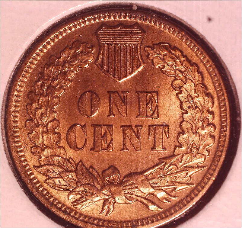 My-Buddy-Told-Me-He-Thinks-I-Have-A-Proof-Indian-Head-Penny