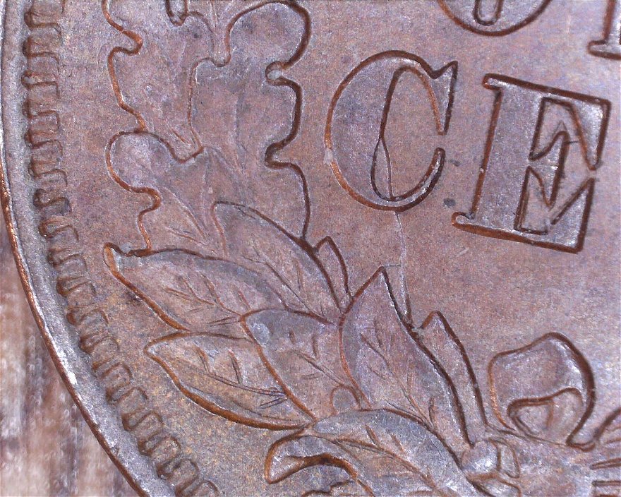 1888-Indian-Head-Penny-REV-DD-Please-Look-And-Give-Me-Your-Opinions