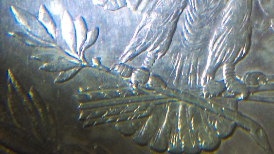 1878-S-Morgan-Variety-17?--1878-S-Reverse-Of-1878?-7TF-?