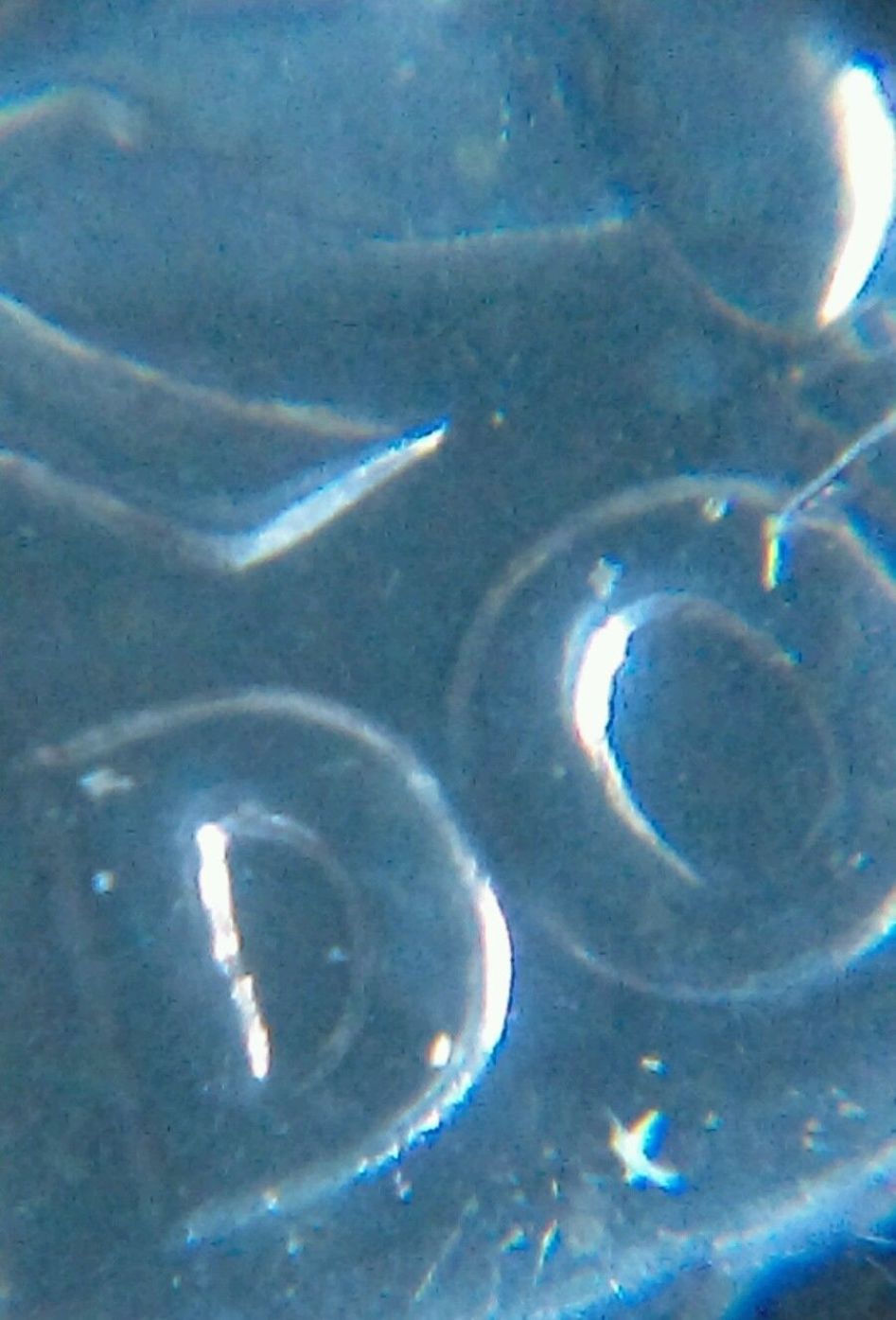 1963-25c-Washington-Quarter-Proof-DDR?