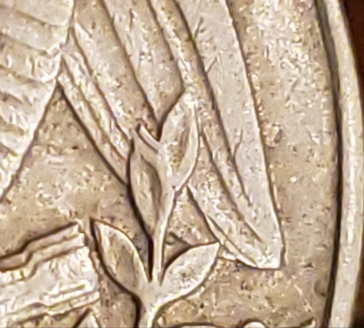 1972-D-Quarter-DDR?-Looking-For-Your-Thoughts